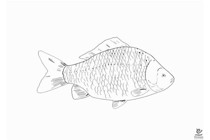 A Karaś dalej płynie