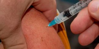 Dla seniorów za darmo