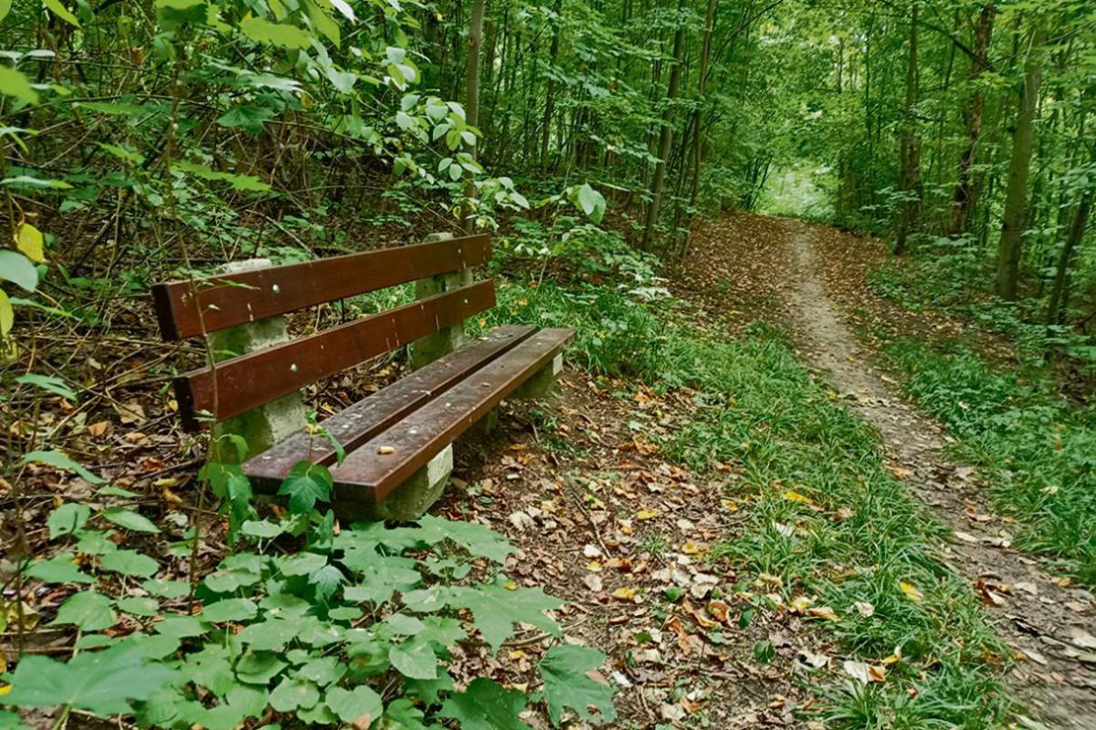 Potencjał Góry św. Marcina ciągle jest nie wykorzystywany