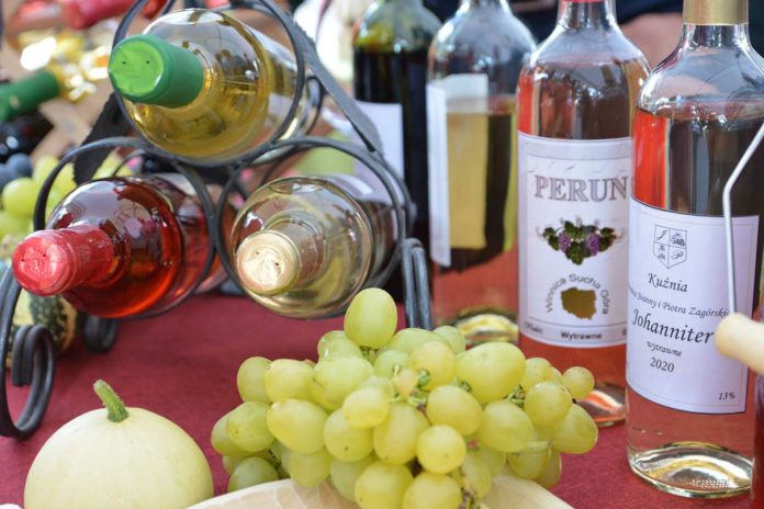 Wino miód i śpiew w Gromniku
