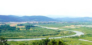 Czasowe zamknięcie przeprawy promowej w Siedliszowicach