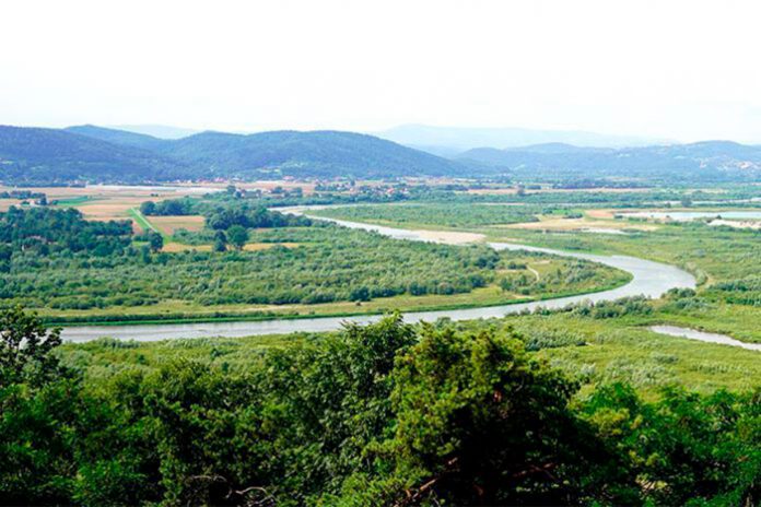 Czasowe zamknięcie przeprawy promowej w Siedliszowicach