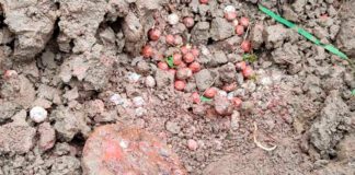 Kolejna wojenna pamiątka wydobyta z ziemi