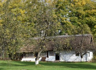 Tam gdzie Pani zabiła Pana