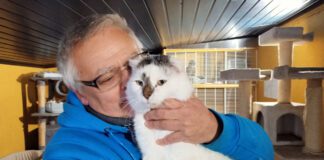 Andrzej Giemza schronisko