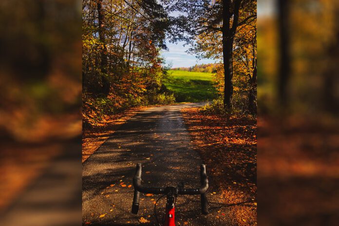 Okład z młodych liści Okład z młodych liści