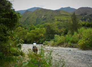Dolina długowieczności