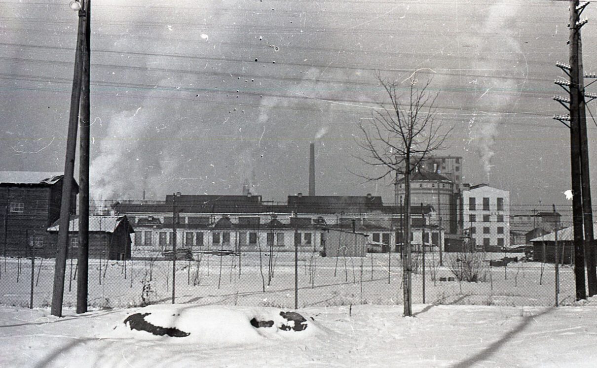 Mościce kolekcja Marka Tomaszewskiego8