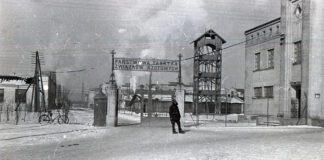 Mościce kolekcja Marka Tomaszewskiego9