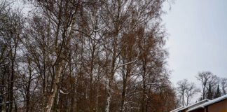 Planty czeka metamorfoza - Tarnów ma pomysł jak je zrewitalizować