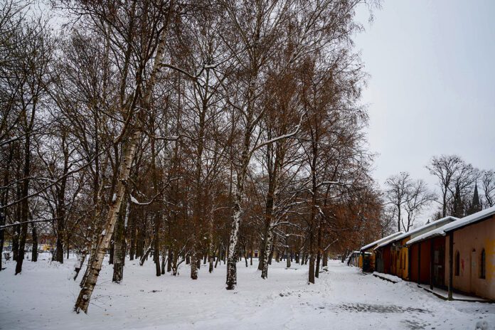Planty czeka metamorfoza - Tarnów ma pomysł jak je zrewitalizować