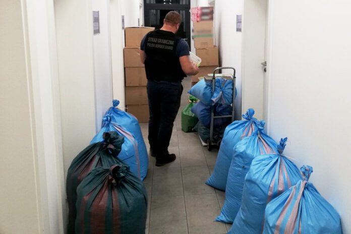 Tytoń miał być złotym interesem