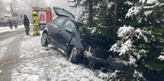 55 latka uderzyła w drzewo