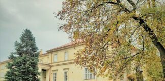 Unikać konfliktów czy je rozwiązywać