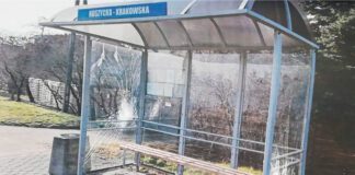 Z nudów zniszczyli samochód witrynę sklepową i wiatę