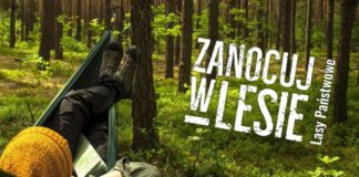 Zanocuj w lesie