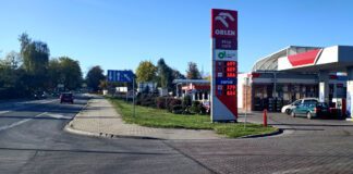 Potrącenie psa Tuchowska