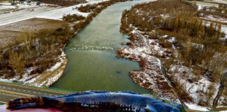 Szkody przyrodnicze podczas umacniania brzegu Dunajca