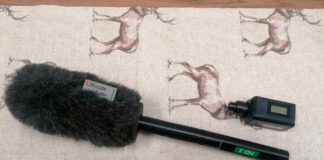 Ukradł mikrofon podczas meczu