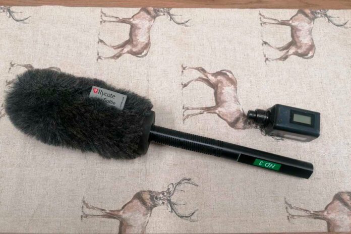 Ukradł mikrofon podczas meczu