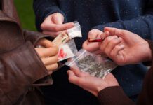 Nastolatkowie z powiatu dąbrowskiego podejrzani o przestępstwanarkotykowe