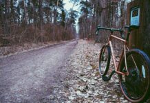 Niech stanie się zieleń