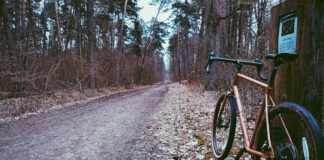 Niech stanie się zieleń