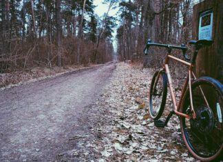 Niech stanie się zieleń