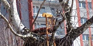 Niezwykły tron na tarnowskim osiedlu