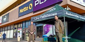 Powitanie wiosny sadzonki