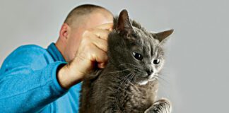 Przygarniał do domu koty, aby potem je mordować