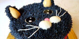 Tort dla miłośników kociego futerka