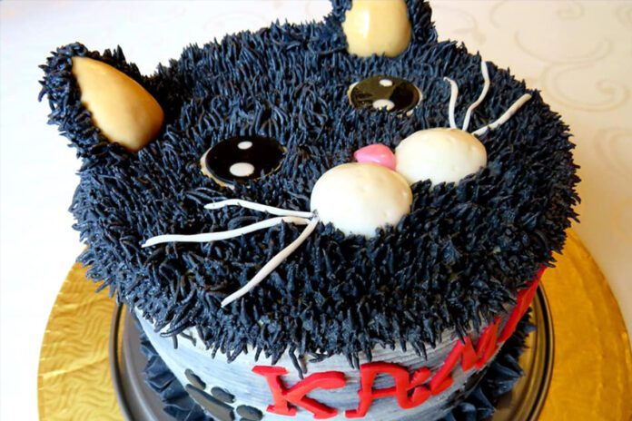 Tort dla miłośników kociego futerka