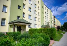 Zieleń czy mieszkania? Zieleń czy mieszkania