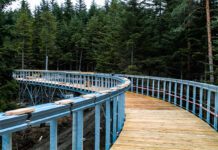 Dwumiesięczne opóźnienie przy budowie ścieżki w koronach drzew