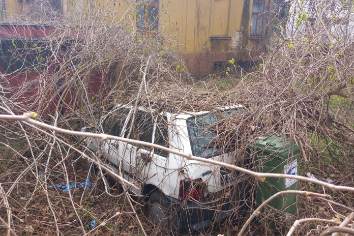 Fiat w objęciach gałęzi Fiat w objęciach gałęzi