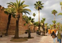 Miasto w różowych murach