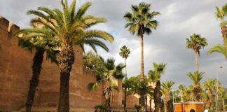 Miasto w różowych murach