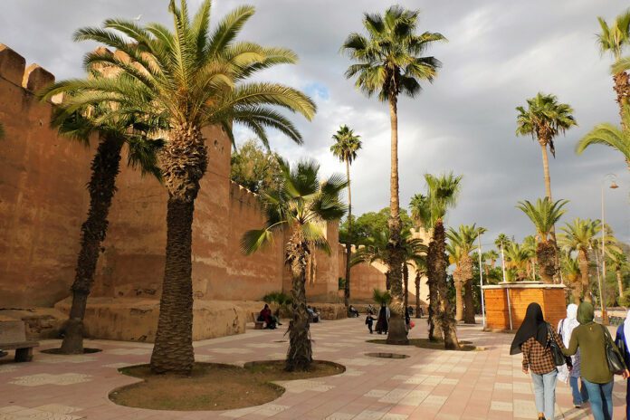 Miasto w różowych murach