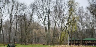 Nieoczekiwany zwrot akcji w budowie tężni solankowej w Tarnowie