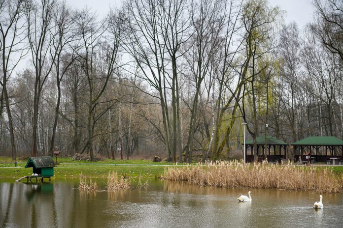 Nieoczekiwany zwrot akcji w budowie tężni solankowej w Tarnowie