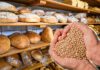 Niższa cena zboża nie wpływa na niższą cenę pieczywa