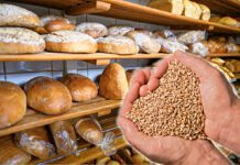 Niższa cena zboża nie wpływa na niższą cenę pieczywa