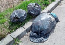 Piaskówka zaśmiecana przez przywożone odpady