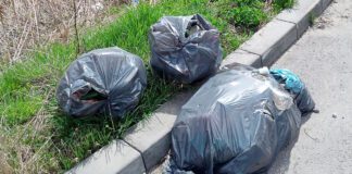 Piaskówka zaśmiecana przez przywożone odpady