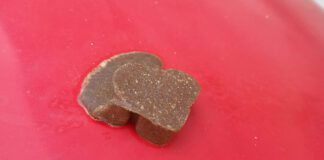 Szczepionki zrzucane z samolotu