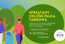W sobotę sprzątanie zielonych płuc Tarnowa