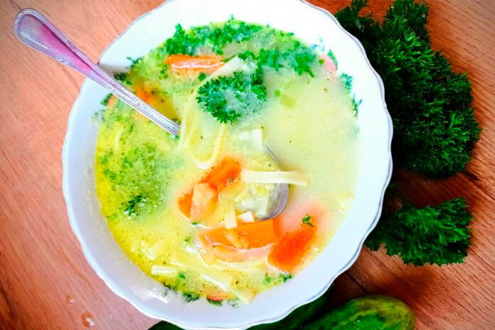 Zupa ogórkowa ze świeżych siekanych ogórków z makaronem