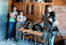 Azyl w bloku. Ratują zwierzęta, ale nie wszystkim się to podoba Azyl w bloku