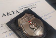 Prawie 70 nielegalnie zatrudnionych kierowców. To cudzoziemcy ze Wschodu Prawie 70 nielegalnie zatrudnionych kierowców